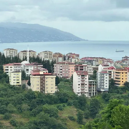 Emre Daire *