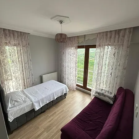 Apartment Emre *